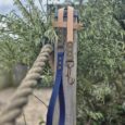 Handmade BioThane dog lead with navy lead attached to wooden post surrounded by garden plants.