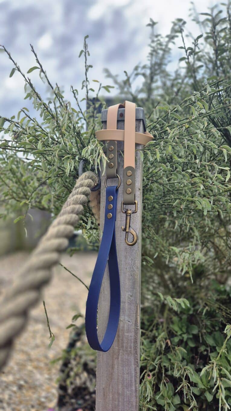 Handmade BioThane dog lead with navy lead attached to wooden post surrounded by garden plants.