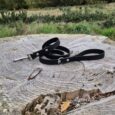 Black BioThane dog lead with nickel hardware coiled on weathered wood, countryside backdrop.