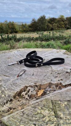 Black BioThane dog lead with nickel hardware coiled on weathered wood, countryside backdrop.