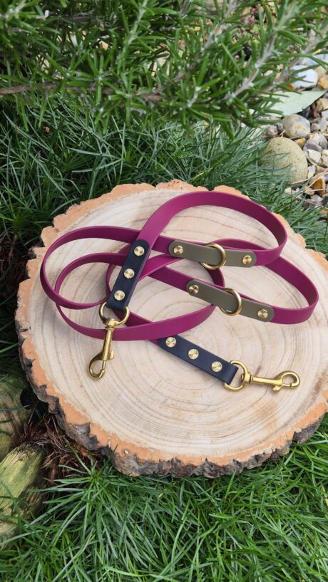 Blackwood Berry 2m Multi-way Double-ended Lead