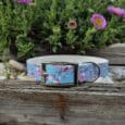 Handmade BioThane dog collar with cherry blossom print design displayed on weathered wood beside purple flowers.