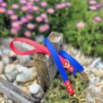 Red and blue BioThane dog lead with brass hardware displayed on weathered wood in a garden setting.