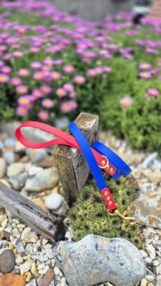 Custom Two Colour 1.2m Lead