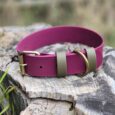 Bordeaux Grove extra wide handmade BioThane dog collar with cream webbing and brass hardware on weathered wood.