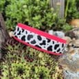 Neon pink and cow-print handmade BioThane dog collar displayed in a garden setting with succulents.