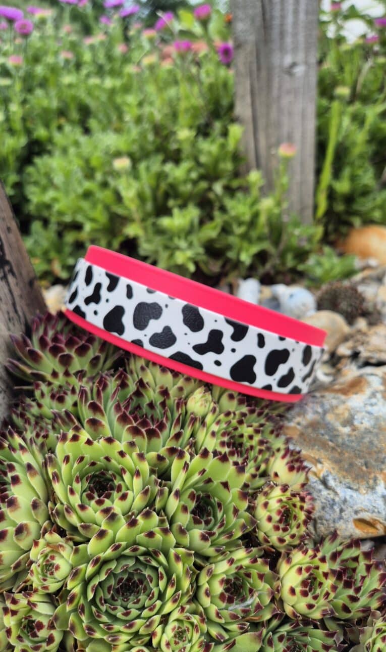 Neon pink and cow-print handmade BioThane dog collar displayed in a garden setting with succulents.