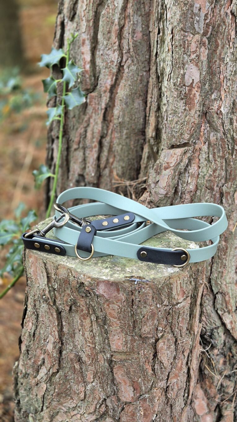 Deep forest colour handmade BioThane multiway lead with brass hardware and dark BioThane handle, displayed on tree bark.