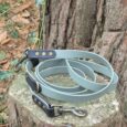 Deep forest green BioThane multiway lead with brass hardware, coiled on weathered wood with ivy.