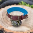 Handmade BioThane dog collar in burgundy with blue neoprene lining and brass hardware, displayed on wood.