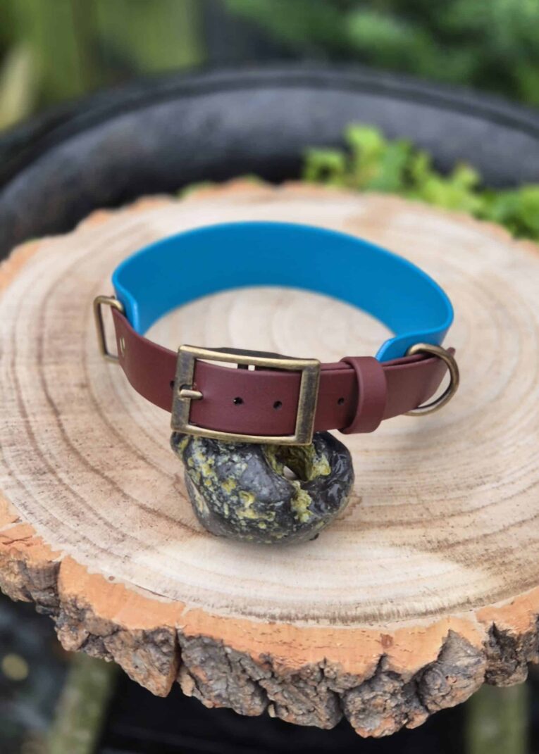 Handmade BioThane dog collar in burgundy with blue neoprene lining and brass hardware, displayed on wood.