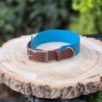 Handmade BioThane dog collar in driftwood and blue with antique brass buckle, displayed on wood.