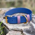 Blue handmade BioThane dog collar with pink straps and brass fittings, displayed on weathered wood outdoors.