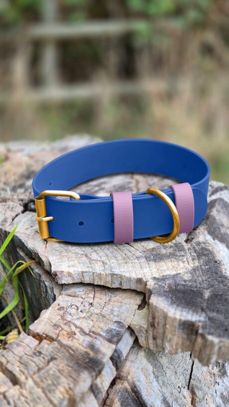 Blue handmade BioThane dog collar with pink straps and brass fittings, displayed on weathered wood outdoors.
