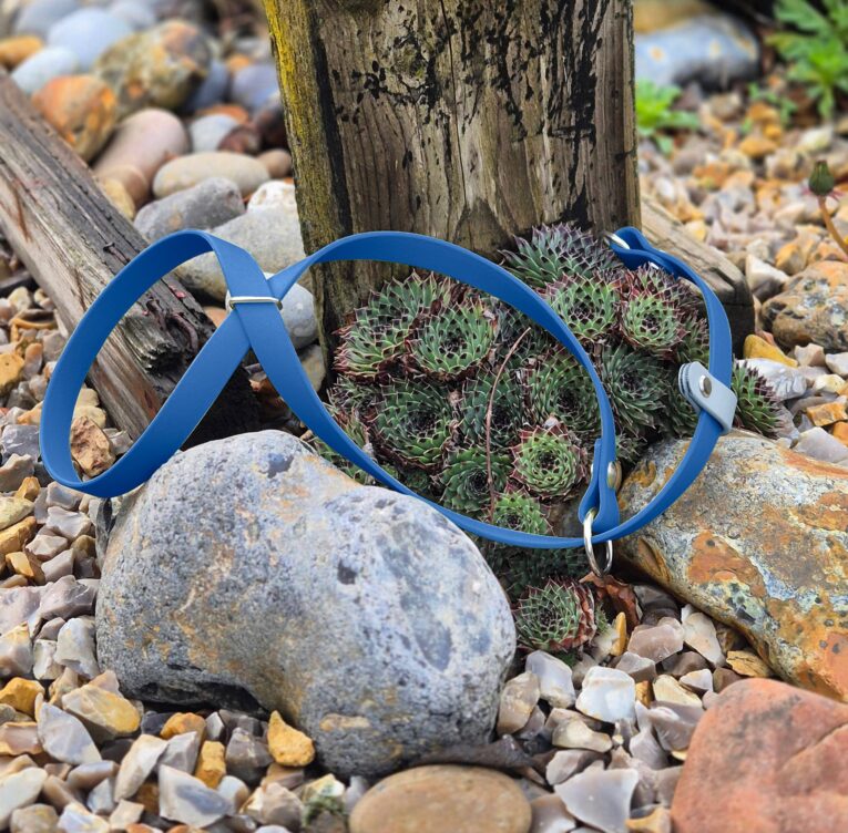 Dark blue handmade BioThane dog collar displayed on rocks and succulents in natural outdoor setting.