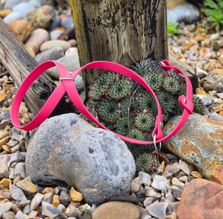 Neon pink BioThane dog collar displayed on succulents and stones in a garden setting.