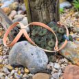 Pastel peach handmade BioThane dog collar displayed on succulents among stones and weathered wood.