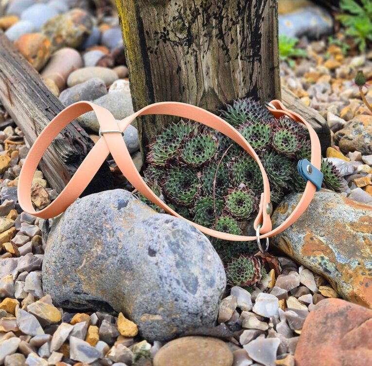 Pastel peach handmade BioThane dog collar displayed on succulents among stones and weathered wood.