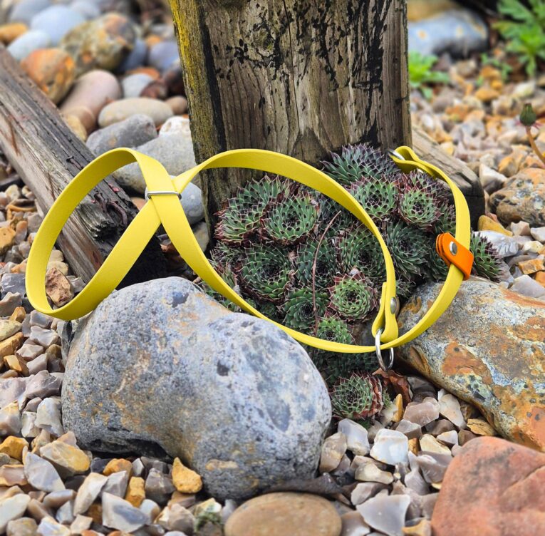 Bright yellow handmade BioThane dog collar displayed on succulents and stones in natural garden setting.