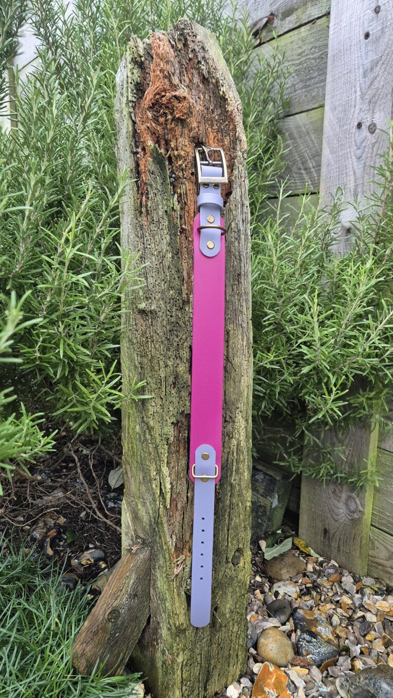 Heather mist tapered handmade BioThane dog collar with lavender hardware, displayed on weathered wood post outdoors.