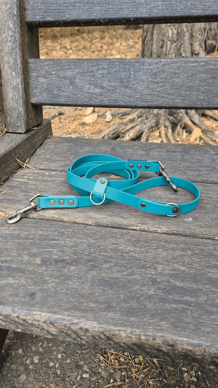 Turquoise multiway lead with brass fittings and D-ring, displayed on rustic wooden fence.