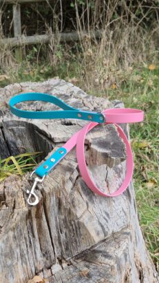 Pink Clover 1.2m Lead