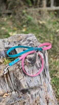 Pink and teal BioThane dog lead and collar set displayed on weathered wood outdoors.