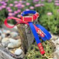 Bright red and blue handmade BioThane dog collar and lead with brass fittings, displayed on weathered wood amongst garden flowers.