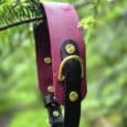 Handmade BioThane dog collar in burgundy and black with brass fittings, hanging from foliage.