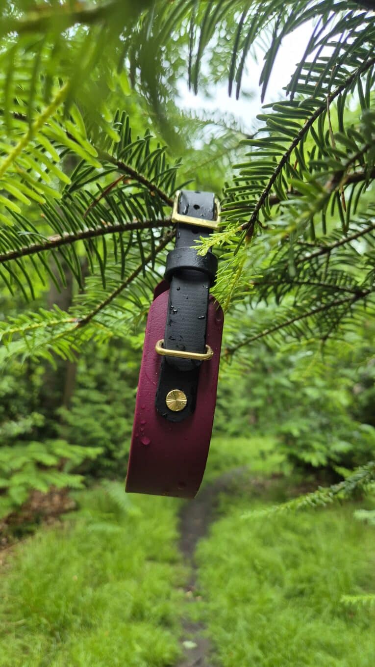 Handmade BioThane dog collar with burgundy and black design, brass hardware, suspended among green foliage.