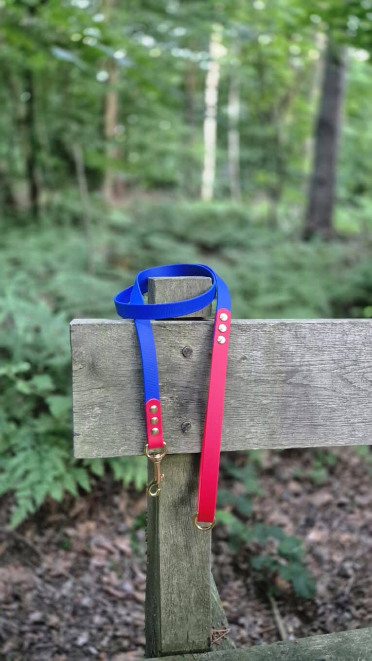 Blue and red handmade BioThane dog collars with brass hardware displayed on a wooden fence in woodland.