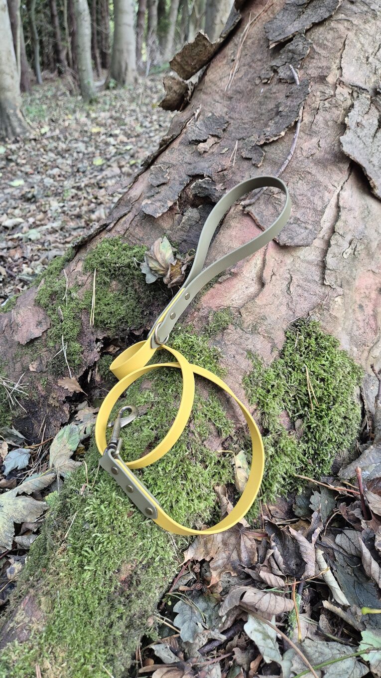 Saffron and brass handmade BioThane dog lead coiled on moss-covered forest ground with woodland backdrop.