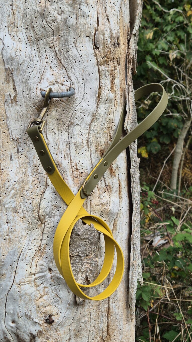 Saffron yellow handmade BioThane dog lead with brass hardware, attached to weathered wooden post.