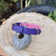 Sweet violet BioThane dog collar with brass fittings, displayed on a wood slice in a garden setting.