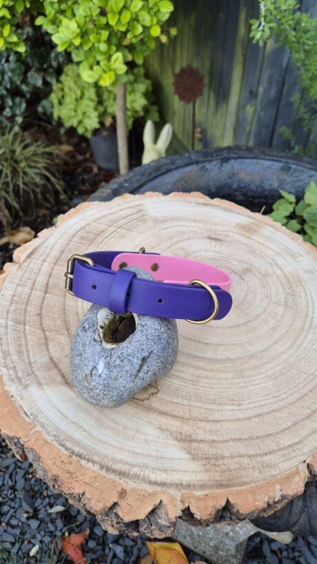 Sweet Violet Collar