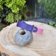 Sweet violet BioThane dog collar with brass hardware, displayed on wooden cross-section in garden setting.
