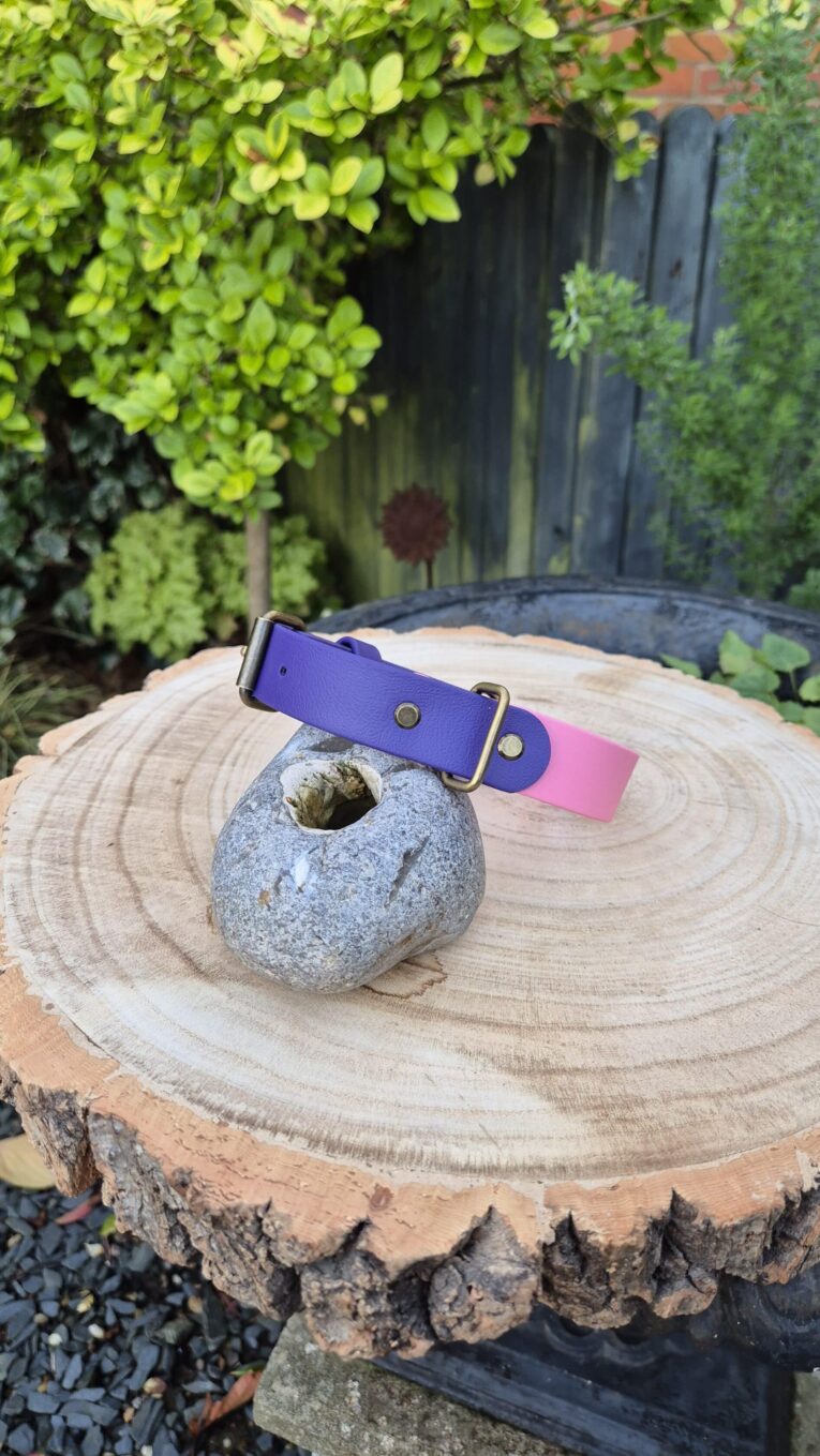 Sweet violet BioThane dog collar with brass hardware, displayed on wooden cross-section in garden setting.