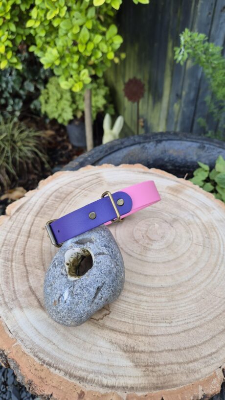 Sweet violet and pink handmade BioThane dog collar with brass fittings, displayed on wood.