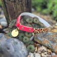 Bright pink and leopard print BioThane tag collar with brass hardware and ID tag charm.