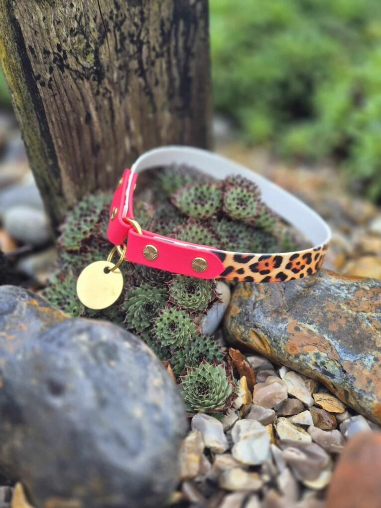 Bright pink and leopard print BioThane tag collar with brass hardware and ID tag charm.