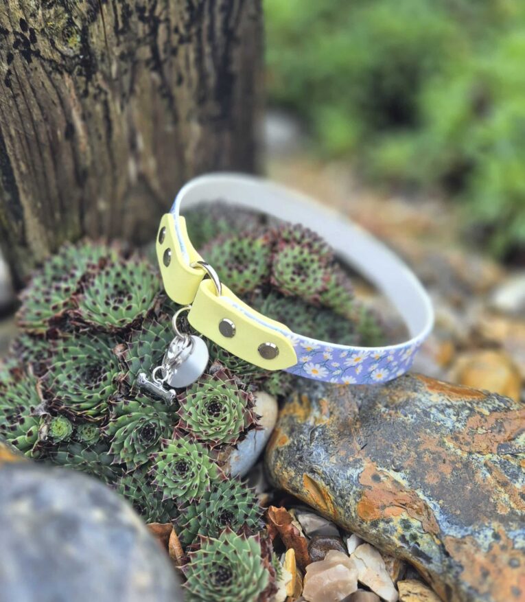 Yellow and blue floral handmade BioThane dog tag collar displayed on succulent plants outdoors.