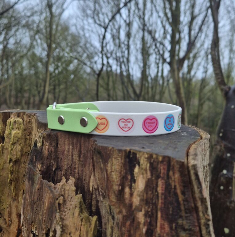 Handmade BioThane tag collar with heart-printed design and green buckle closure, displayed on a woodland tree stump.