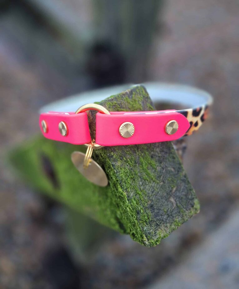 Vibrant pink handmade BioThane tag collar with gold studs and ring, displayed on moss-covered wood.