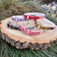 Colourful handmade BioThane tag collars displayed on wood, featuring red hearts, pink, purple, black and patterned designs with metal hardware.