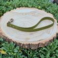 Avocado-coloured BioThane traffic handle dog collar with metal hardware displayed on wooden surface.