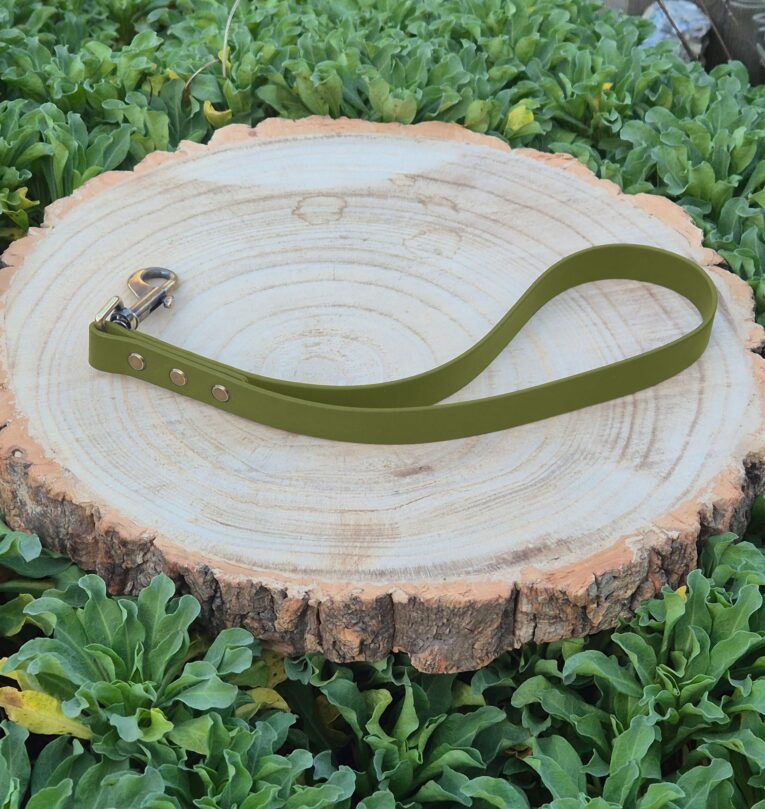Avocado-coloured BioThane traffic handle dog collar with metal hardware displayed on wooden surface.