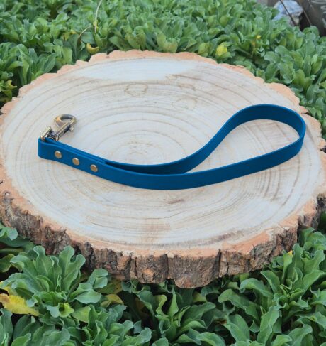 Bright blue BioThane traffic handle lead with brass fittings, displayed on wooden disc surrounded by green foliage.