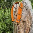 Bright orange waterproof BioThane dog collar with brass hardware and chain lead against weathered wood.