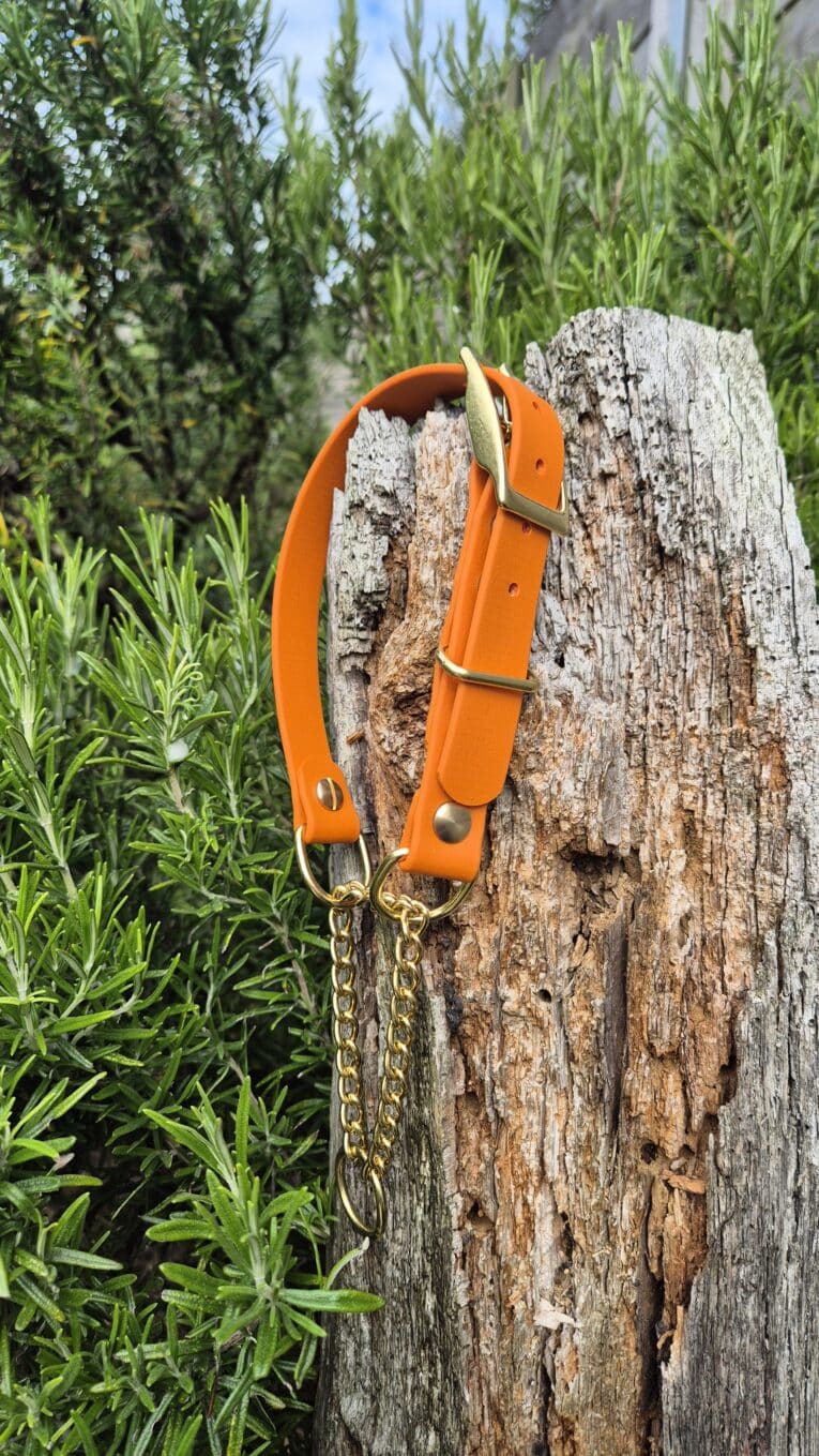 Bright orange waterproof BioThane dog collar with brass hardware and chain lead against weathered wood.