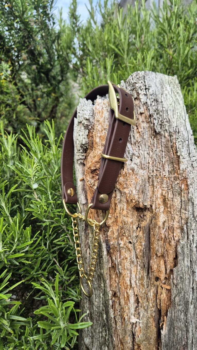 Waterproof brown BioThane dog collar with brass buckle and chain lead, displayed on weathered wood outdoors.